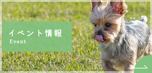 イベント情報
