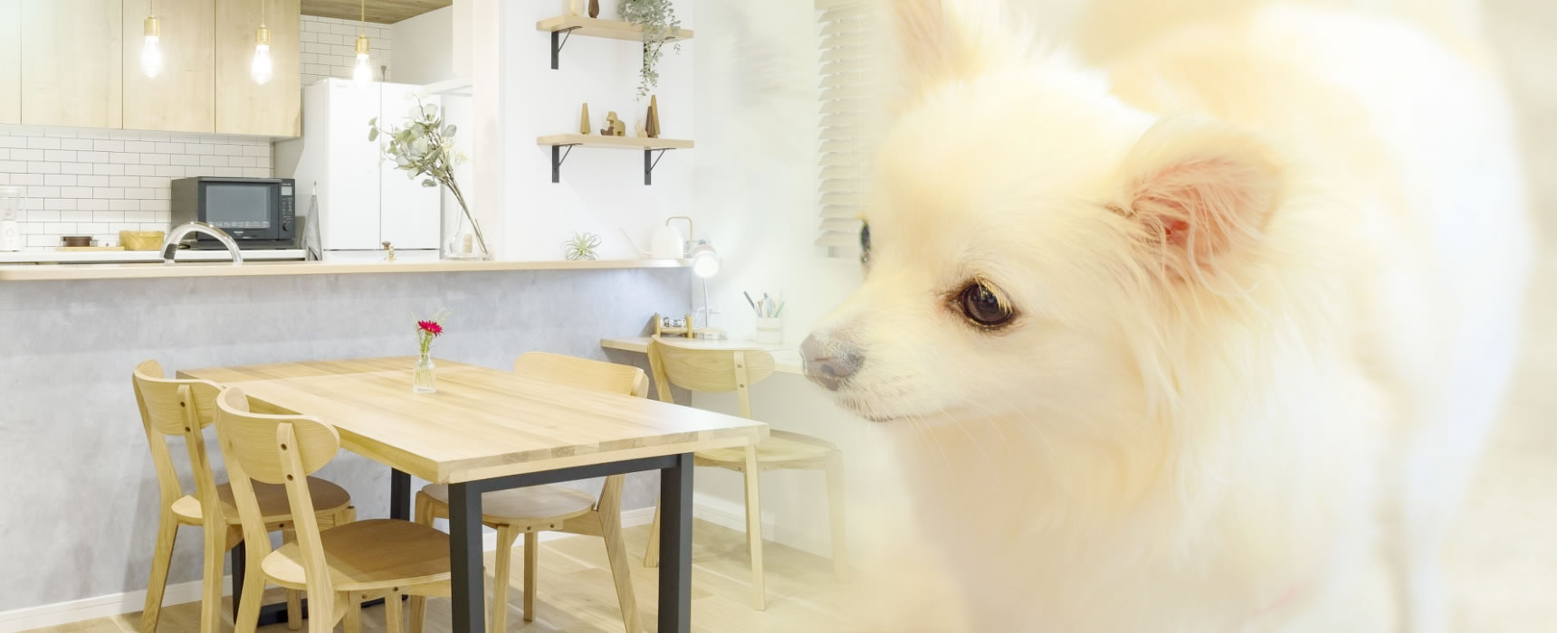 人にも愛犬にも快適な住まいづくり